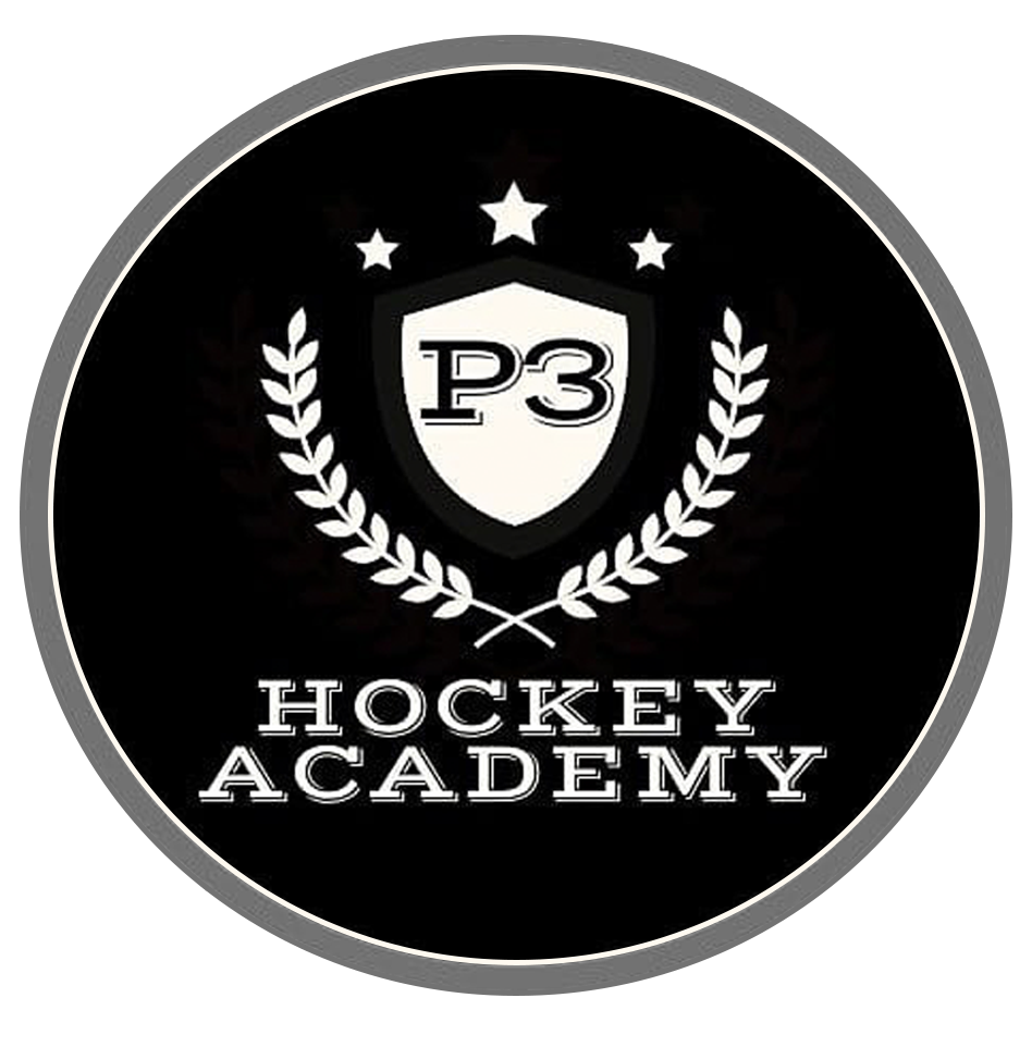 p3_hockey.png