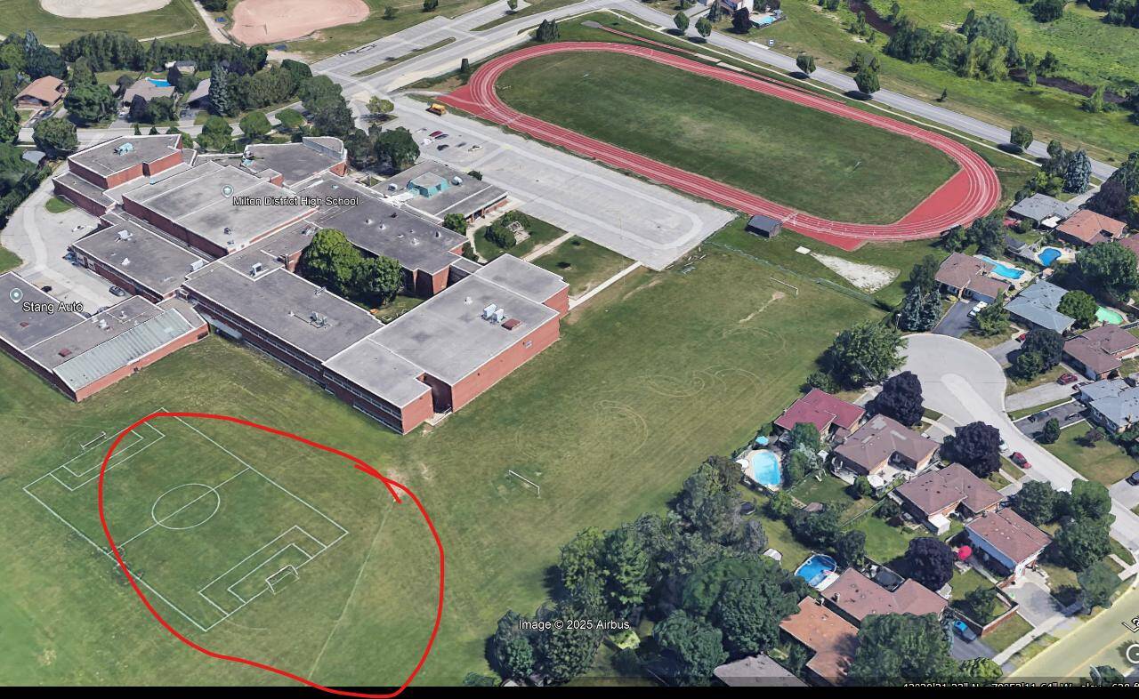 Field.jpg