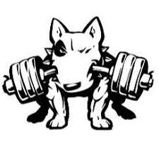 CT Fitness